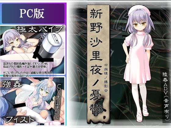 新野沙里夜ノ憂鬱